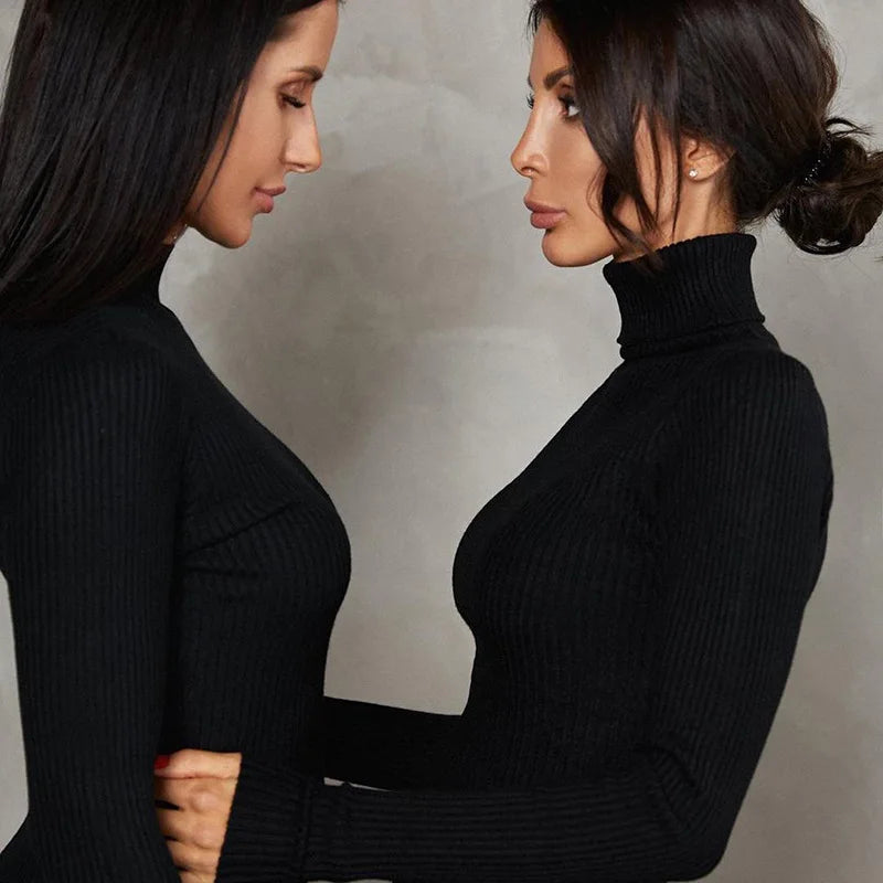 Molly | Sexy Turtleneck Knitted Bodycon Dress