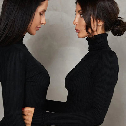 Molly | Sexy Turtleneck Knitted Bodycon Dress