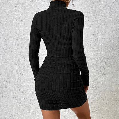 Nayeli | Long Sleeves Turtleneck Sexy Bodycon Dress
